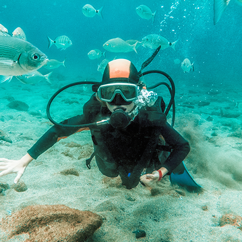 Scuba Diving
